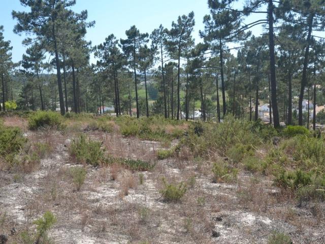 Terreno venda em Comporta