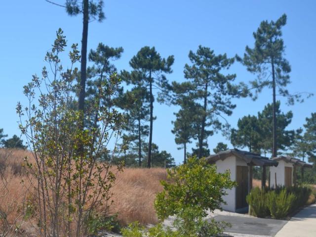 Terreno venda em Comporta