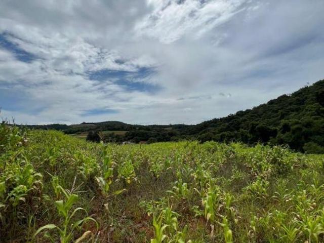 Terreno venda em Região Imediata de Sorocaba, Região Metropolitana de Sorocaba