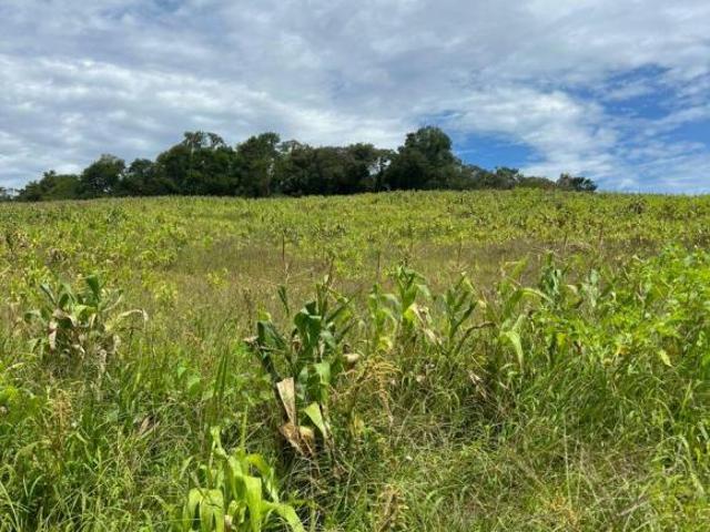 Terreno venda em Região Imediata de Sorocaba, Região Metropolitana de Sorocaba