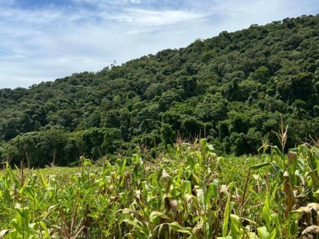 Terreno venda em Região Imediata de Sorocaba, Região Metropolitana de Sorocaba