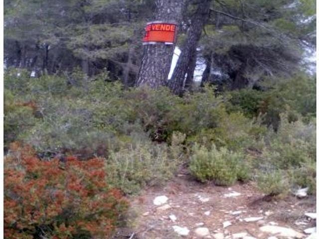 Local Comercial en venta en Alt Camp, Catalunya