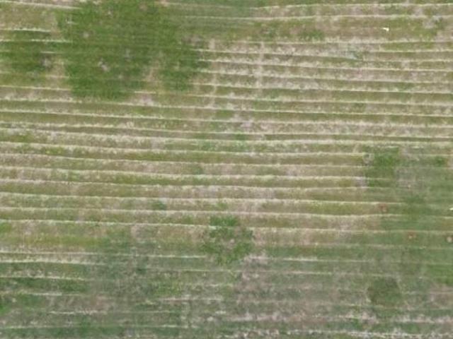 Terreno venda em Região Imediata de Sorocaba, Região Metropolitana de Sorocaba