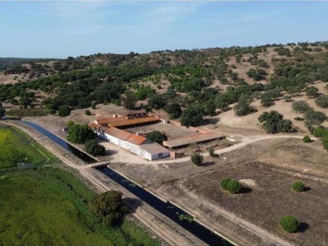 Terreno venda em Barrosinha, Alcácer Do Sal
