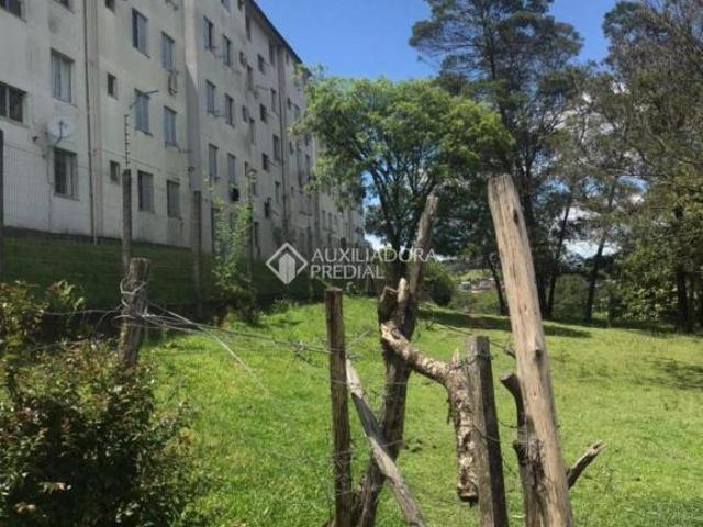 Terreno venda em Região Geográfica Imediata de Caxias do Sul, Caxias do Sul