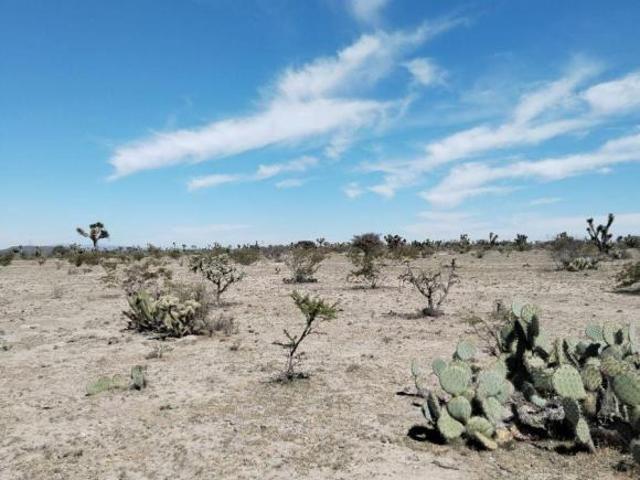Terreno en venta en Pinos, Zacatecas