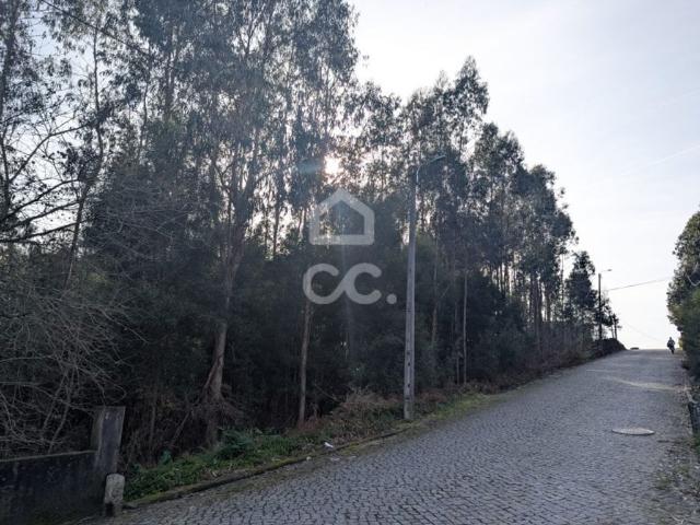 Terreno venda em Corrulho, Vila Nova de Famalicão