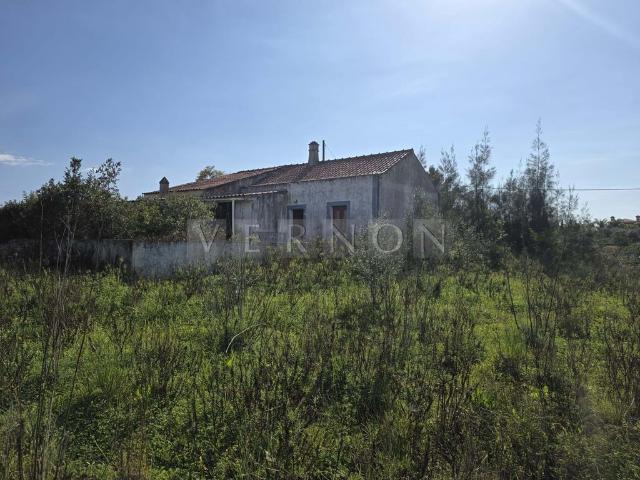 Terreno venda em Silves, Faro