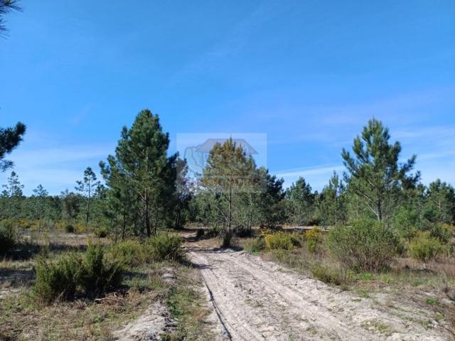 Terreno venda em Muda, Grândola