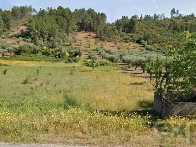 Terreno venda em Mirandela, Bragança