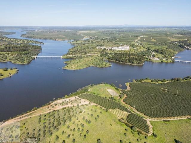 Terreno venda em Avis, Portalegre