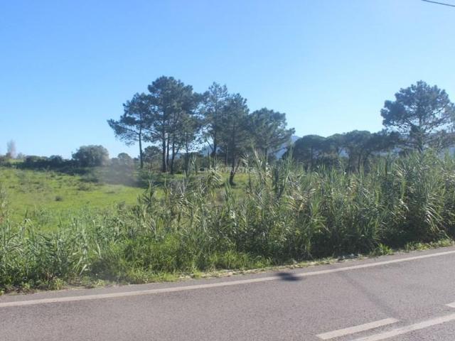 Terreno venda em Estefânea, Sintra