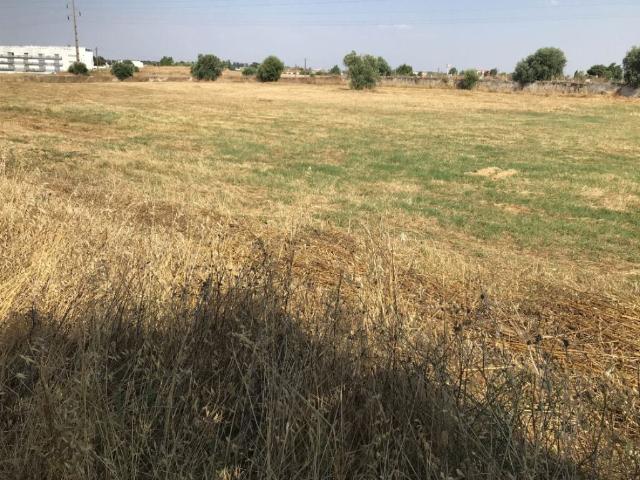 Terreno venda em Évora