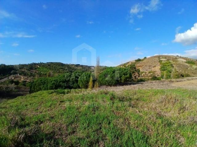 Terreno venda em Santo Isidoro, Mafra