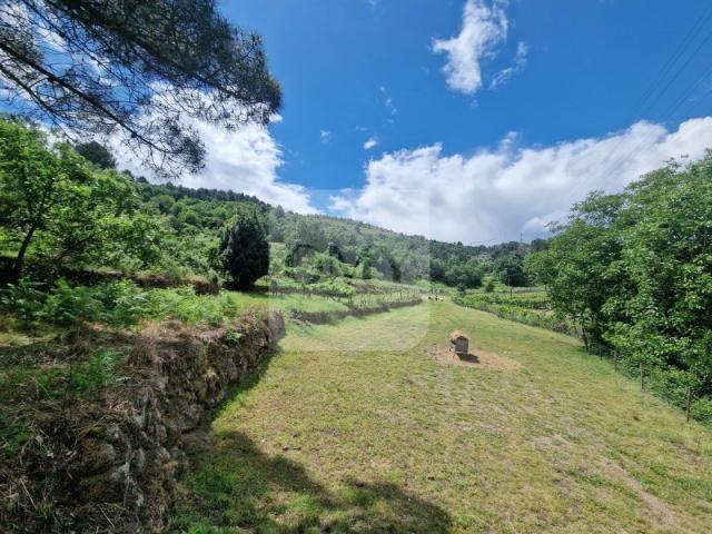 Terreno venda em Vila Real