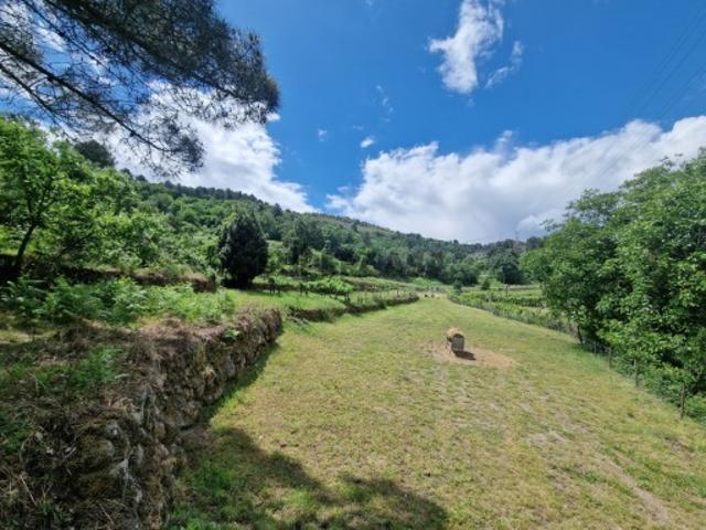 Terreno venda em Vila Real