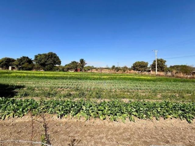 Ponto Comercial venda em Brazlândia, Região Geográfica Intermediária do Distrito Federal