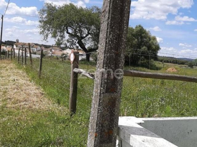 Terreno venda em Montemor-o-novo, Évora