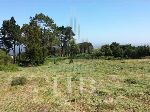 Terreno venda em Enxidra, Sintra