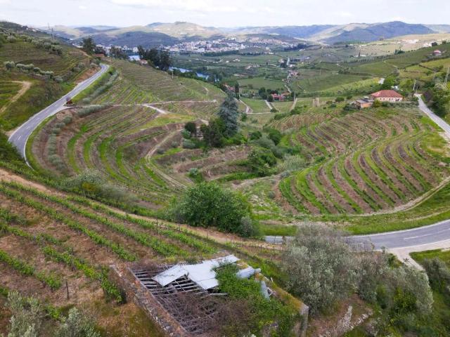Terreno venda em Lamego, Viseu