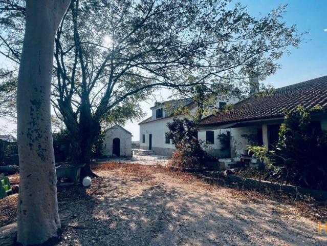 Terreno venda em Alcochete, Setúbal