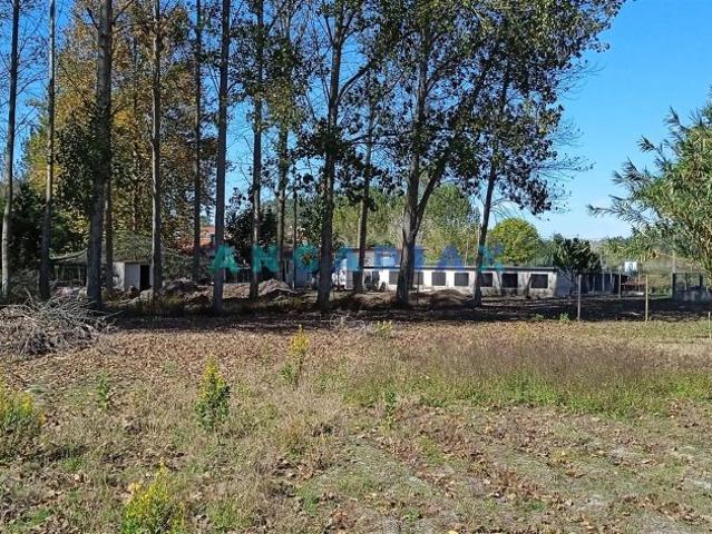 Terreno venda em Leiria