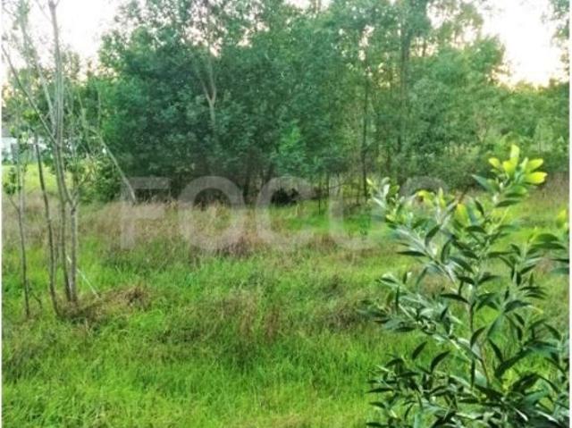 Terreno venda em Ílhavo, Aveiro