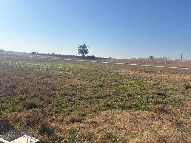 Terreno en venta en la Foia, el Baix Vinalopó
