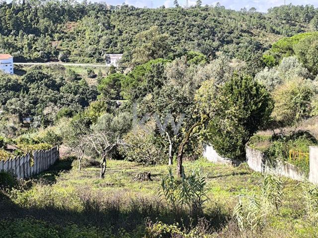Terreno venda em Coimbrã, Almalaguês