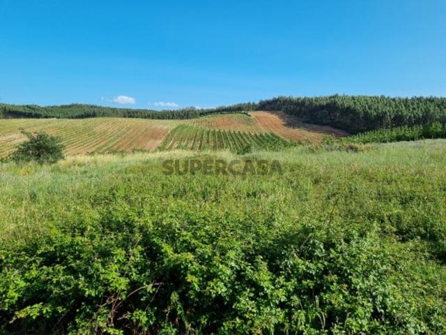 Terreno venda em Bombarral, Estorninho