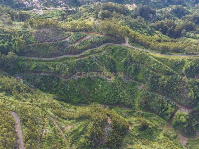 Terreno venda em Ribeira Brava, Ilha Da Madeira