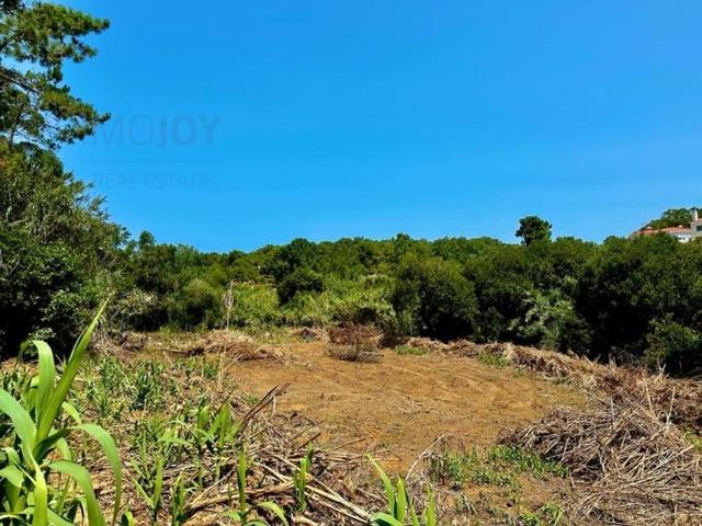 Terreno venda em Mafra, Lisboa
