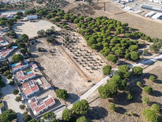 Terreno venda em Cotovias, Alcácer Do Sal