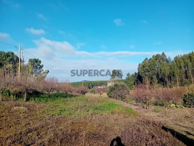Terreno venda em Leiria