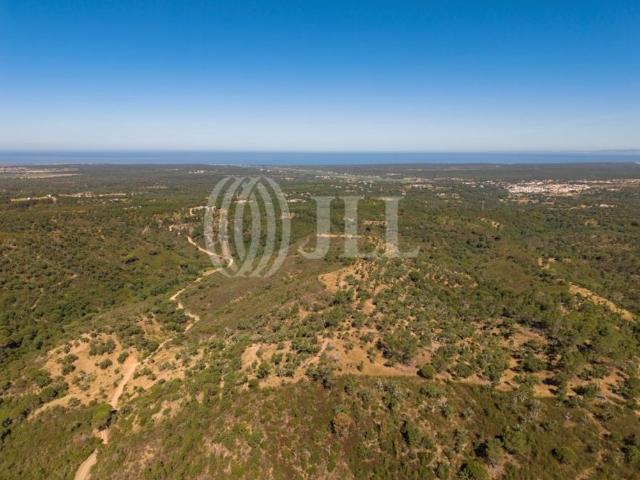 Terreno venda em Grândola, Setúbal