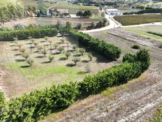 Terreno venda em Torres Vedras, Lisboa