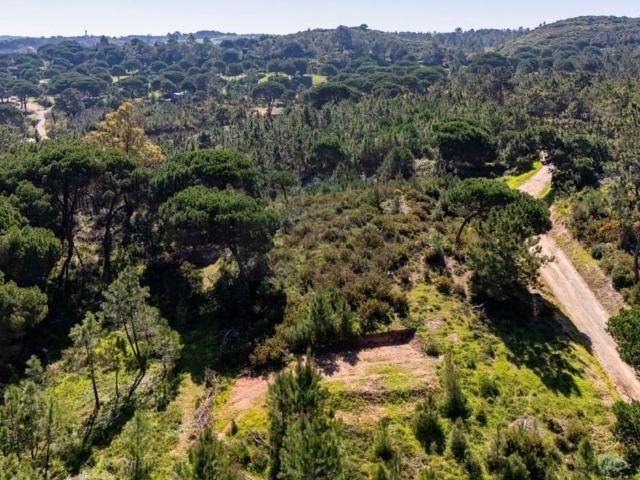 Terreno venda em Sesimbra (Castelo), Sesimbra