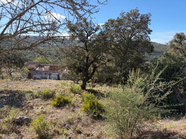 Terreno venda em Betunes, Loulé