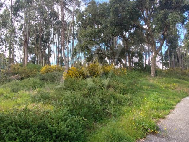 Terreno venda em Parceiros e Azoia, Leiria