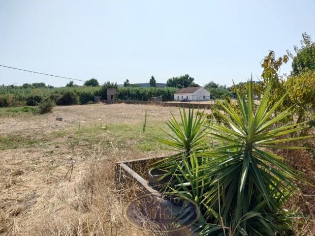 Terreno venda em Broega, Montijo