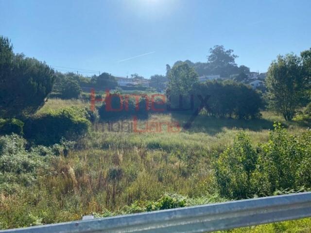 Terreno venda em Albergaria-a-velha, Aveiro