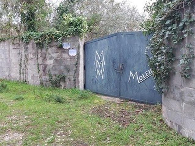 Terreno venda em Leiria