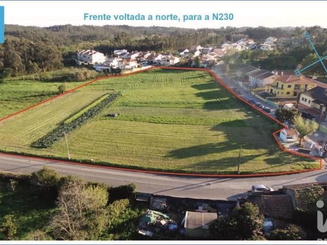 Terreno venda em Feira, Santa Maria Da Feira