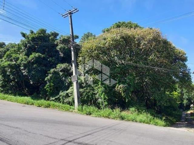 Terreno venda em Região Geográfica Imediata de Caxias do Sul, Caxias do Sul