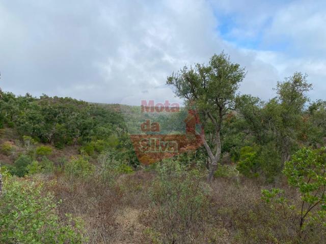 Terreno venda em Grândola e Santa Margarida da Serra, Grândola