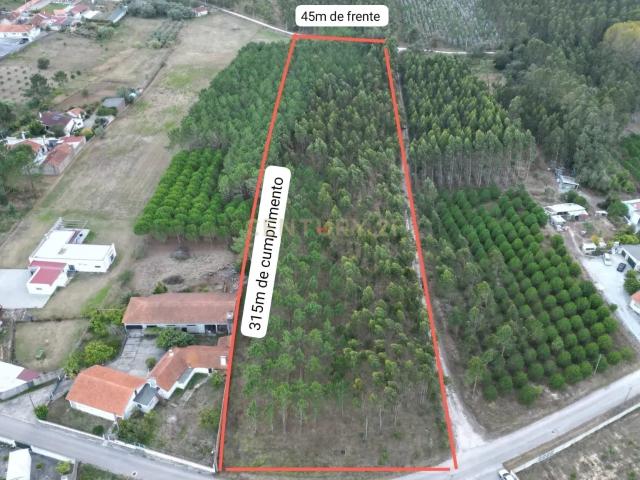 Terreno venda em Maceira, Leiria