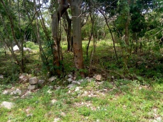Rancho en venta en Pantepec, Yucatán