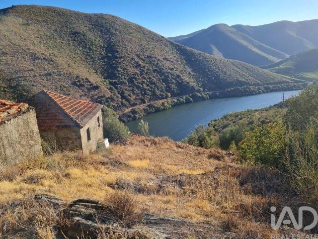 Terreno venda em Torre De Moncorvo, Bragança