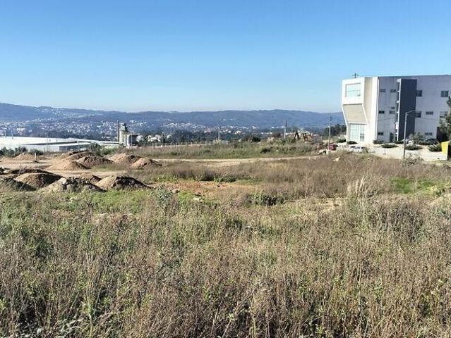 Terreno venda em Gandra de Moreira, Bitarães