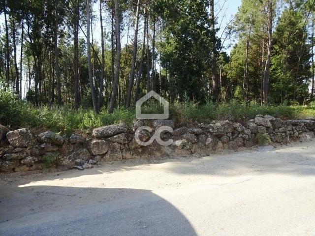 Terreno venda em Viseu